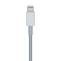 Câble USB-C vers Lightning Aisens A102-0442 Blanc 1 m