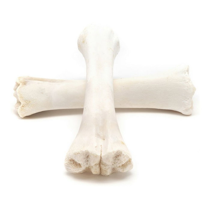 Snack pour chiens Gloria Veau Os Calcium 20 Unités Snack pour chiens Gloria Veau Os Calcium 20 Unités