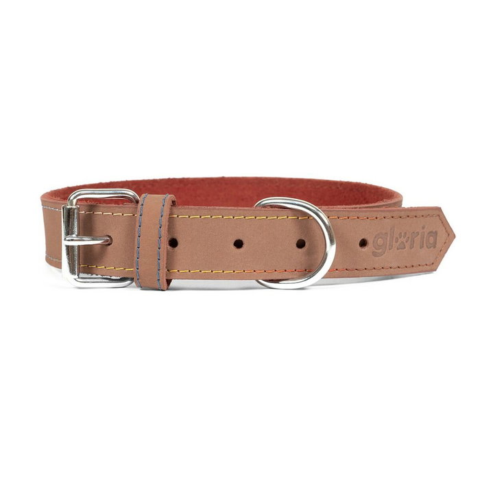 Gloria Collier pour Chien Gloria Oasis Marron (1,2 x 35 cm) Gloria Collier pour Chien Gloria Oasis Marron (1,2 x 35 cm)