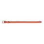 Gloria Collier pour Chien Gloria Oasis Rouge (1,5 x 40 cm) lifecyle