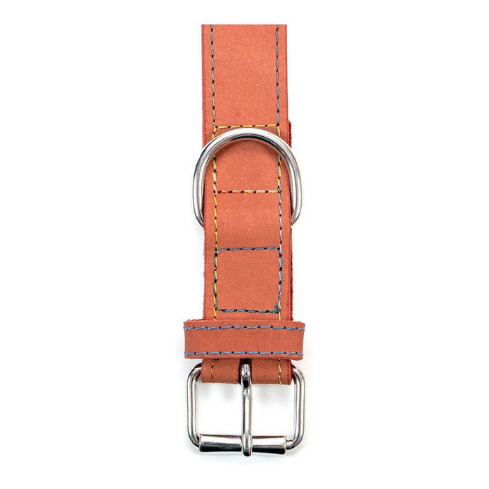 Gloria Collier pour Chien Gloria Oasis Rouge (1,5 x 40 cm) lifecyle