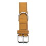 Gloria Collier pour Chien Oasis Jaune (50 x 2,1 cm)