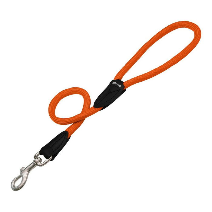Laisse pour Chien Gloria 1.2 x 60 cm Orange Laisse pour Chien Gloria 1.2 x 60 cm Orange