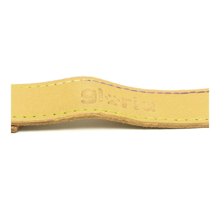 Laisse pour Chien Gloria Oasis 3 x 60 cm Jaune Laisse pour Chien Gloria Oasis 3 x 60 cm Jaune