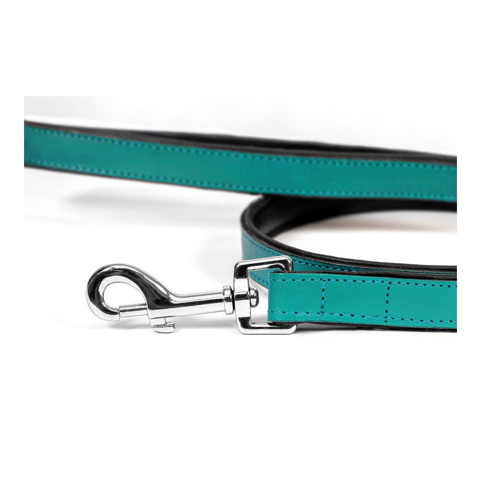 Laisse pour Chien Gloria Turquoise 1.8 x 100 cm Laisse pour Chien Gloria Turquoise 1.8 x 100 cm
