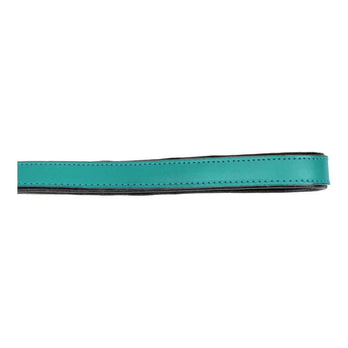 Laisse pour Chien Gloria Turquoise 1.8 x 100 cm Laisse pour Chien Gloria Turquoise 1.8 x 100 cm