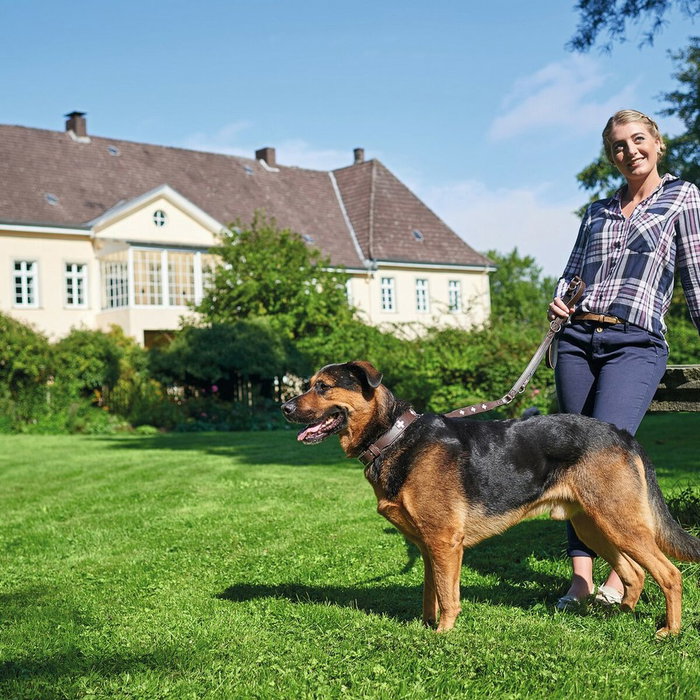 Hunter Collier pour Chien Hunter Swiss Negro, marrón (35-39.5 cm) Hunter Collier pour Chien Hunter Swiss Negro, marrón (35-39.5 cm)
