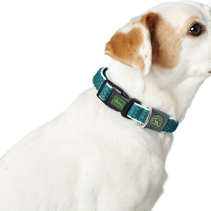 Hunter Collier pour Chien Hunter Basic Fil Taille M Anthracite (33-50 cm)</html>