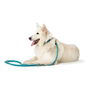 Laisse pour Chien Hunter HILO Turquoise 200 cm
