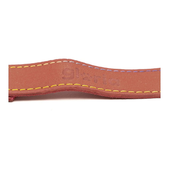 Laisse pour Chien Gloria Oasis 3 x 60 cm Rouge Laisse pour Chien Gloria Oasis 3 x 60 cm Rouge