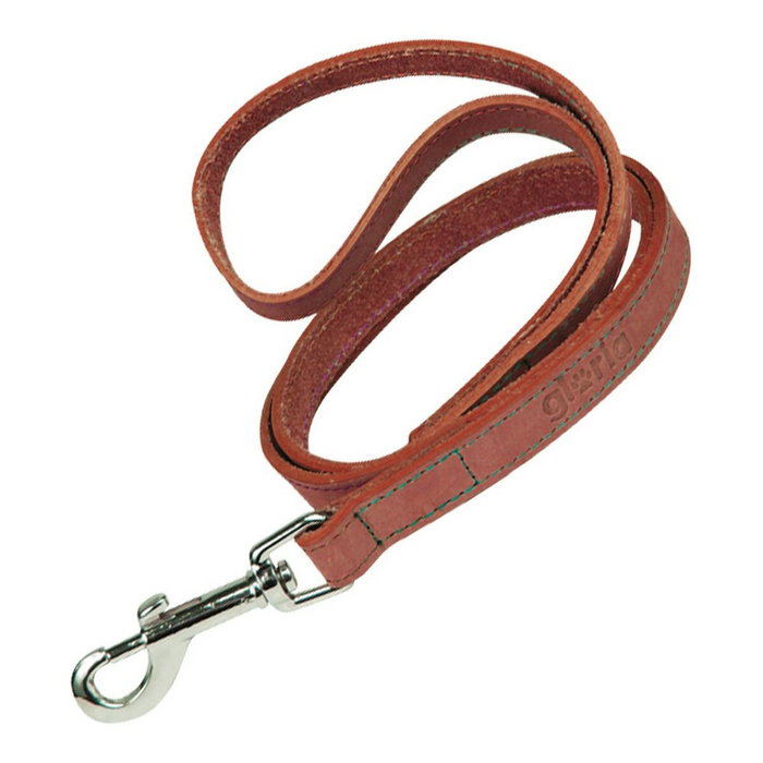 Laisse pour Chien Gloria Oasis 3 x 60 cm Rouge Laisse pour Chien Gloria Oasis 3 x 60 cm Rouge