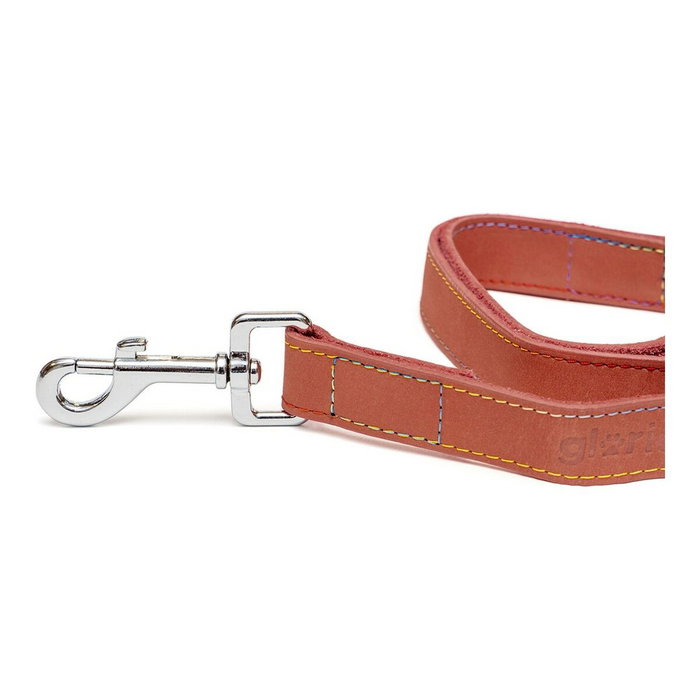 Laisse pour Chien Gloria Oasis 3 x 60 cm Rouge Laisse pour Chien Gloria Oasis 3 x 60 cm Rouge