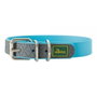 Hunter Collier pour Chien Convenience Turquoise S/M