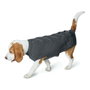Hunter Pull pour chien Malmö Anthracite
