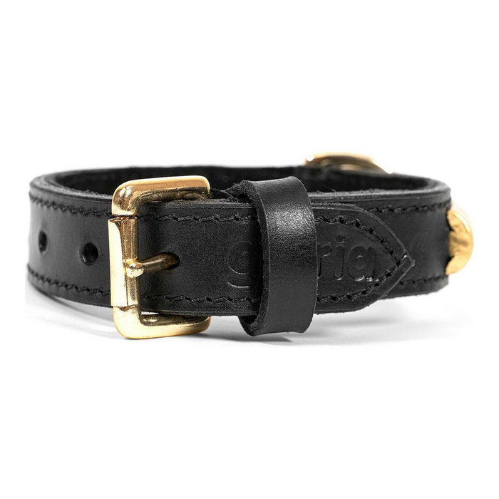 Collier pour Chien Gloria Duna Noir Doré (35 x 2 cm) Collier pour Chien Gloria Duna Noir Doré (35 x 2 cm)