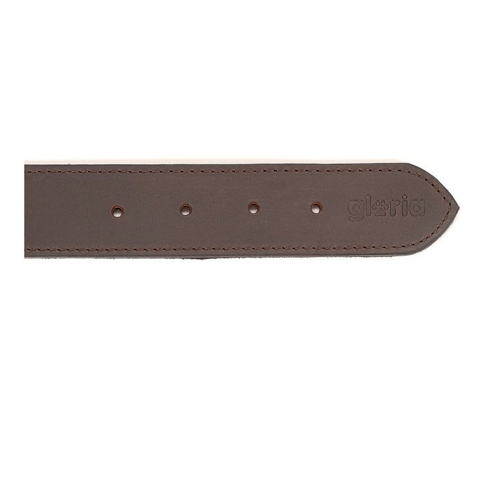 Collier pour Chien Gloria Marron 70 cm (70 x 4 cm) Collier pour Chien Gloria Marron 70 cm (70 x 4 cm)