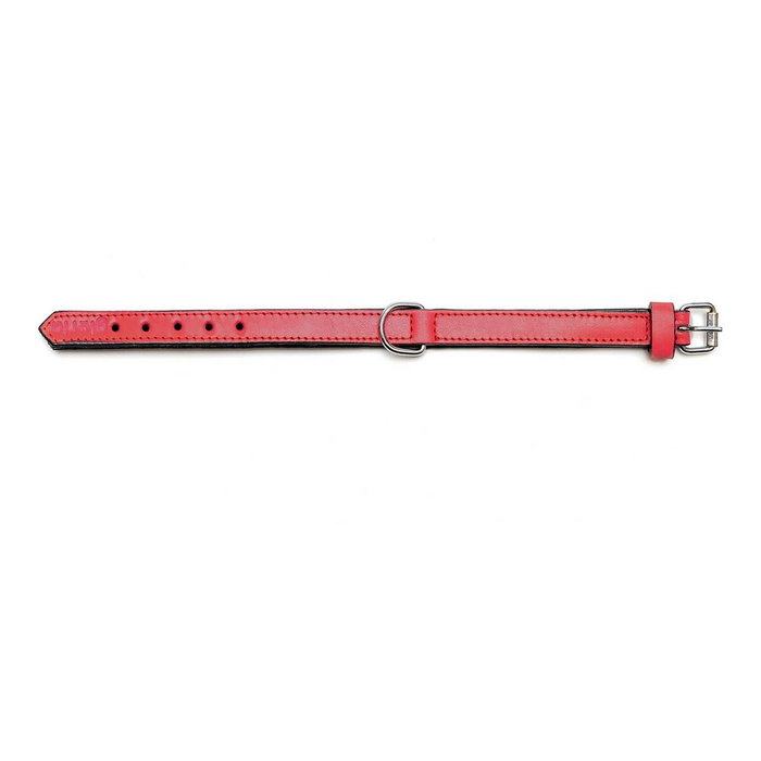 Gloria Collier pour Chien Gloria Rembourré Rouge 55 cm Gloria Collier pour Chien Gloria Rembourré Rouge 55 cm