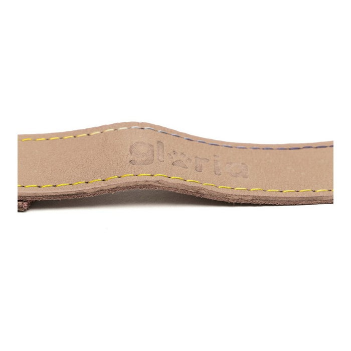 Laisse pour Chien Gloria Oasis 2.1 x 100 cm Blanc Laisse pour Chien Gloria Oasis 2.1 x 100 cm Blanc