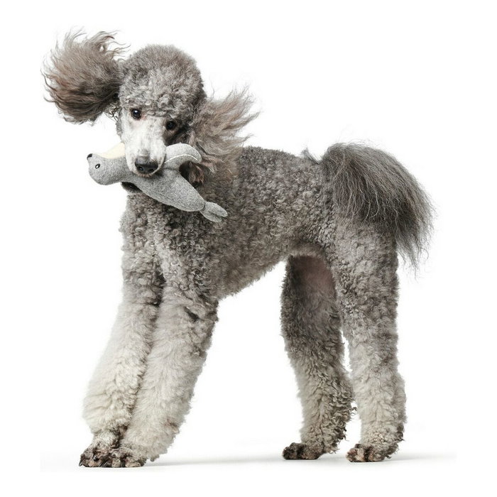 Jouet pour chien en peluche Hunter Skagen Gris Polyester Bison Jouet pour chien en peluche Hunter Skagen Gris Polyester Bison