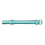 Collier pour Chien Gloria Rembourré Turquoise 40 cm (40 x 2 cm)