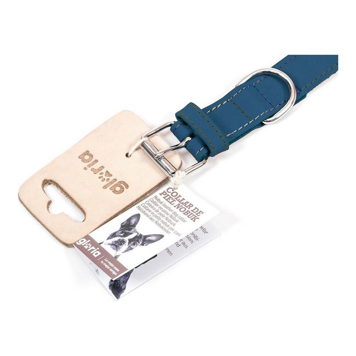 Gloria Collier pour Chien Gloria Oasis Bleu (60 x 3 cm)造成