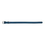 Gloria Collier pour Chien Gloria Oasis Bleu (60 x 3 cm)造成
