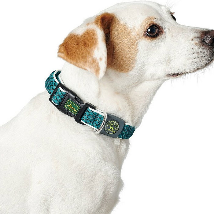 Hunter Collier pour Chien Hunter Basic Fil Citron Taille M Hunter Collier pour Chien Hunter Basic Fil Citron Taille M