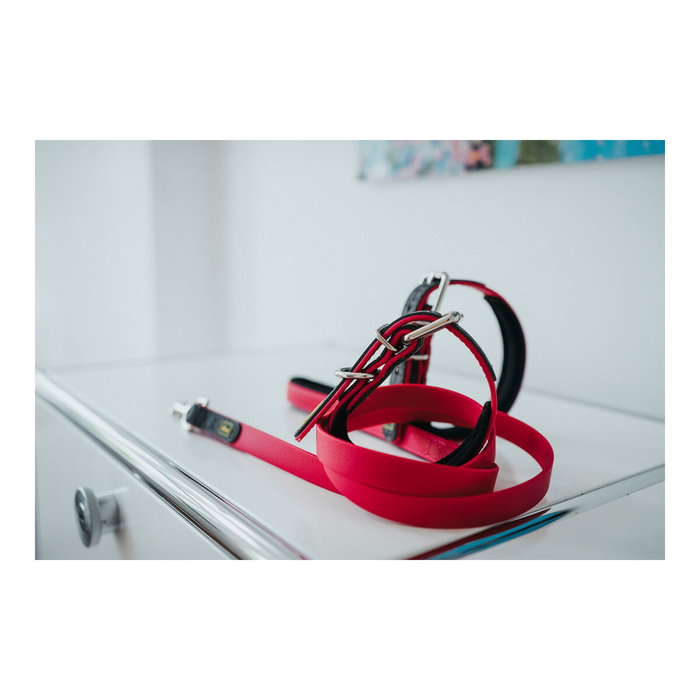 Laisse pour Chien Hunter CONVENIENCE 2 x 120 cm Rose Laisse pour Chien Hunter CONVENIENCE 2 x 120 cm Rose