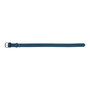 Collier pour Chien Gloria Oasis Bleu (50 x 2,1 cm)