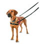 Harnais pour Chien Company of Animals Halti Noir/Rouge L (80-120 cm)