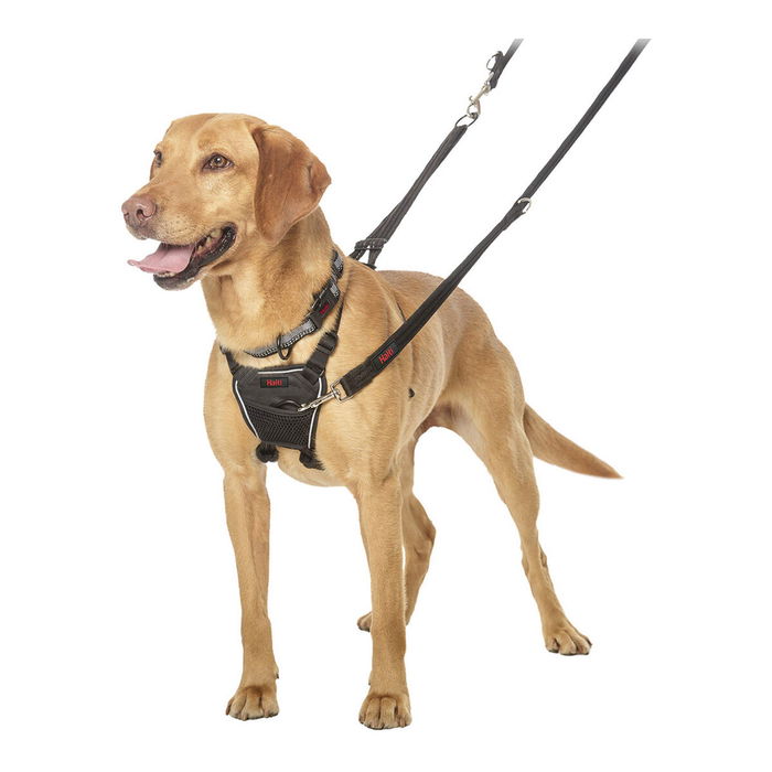 Harnais pour Chien Company of Animals Halti Taille M (34-56 cm) Harnais pour Chien Company of Animals Halti Taille M (34-56 cm)
