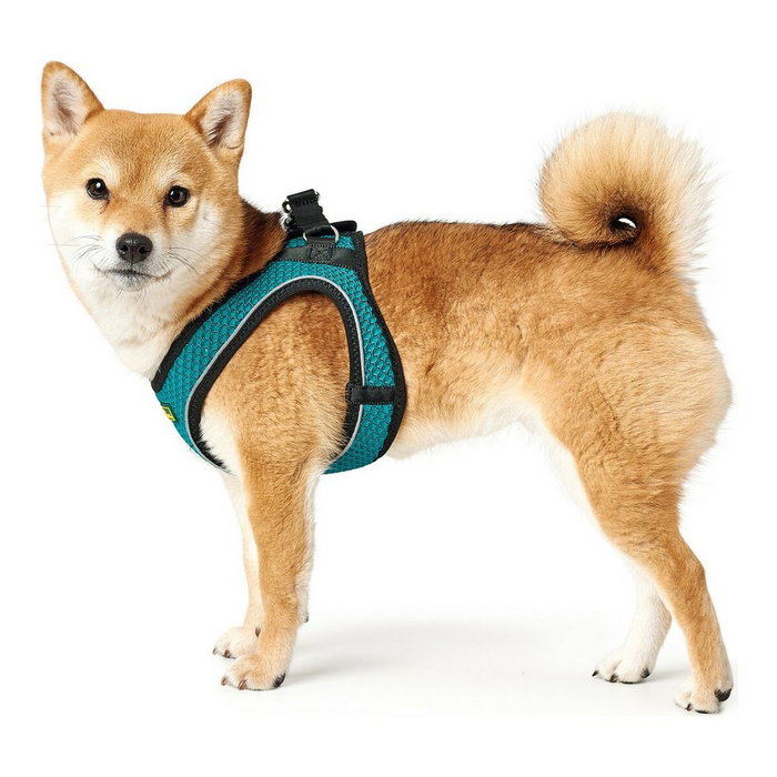 Harnais pour Chien Hunter Hilo-Comfort Turquoise Taille XS (35-37 cm) Harnais pour Chien Hunter Hilo-Comfort Turquoise Taille XS (35-37 cm)