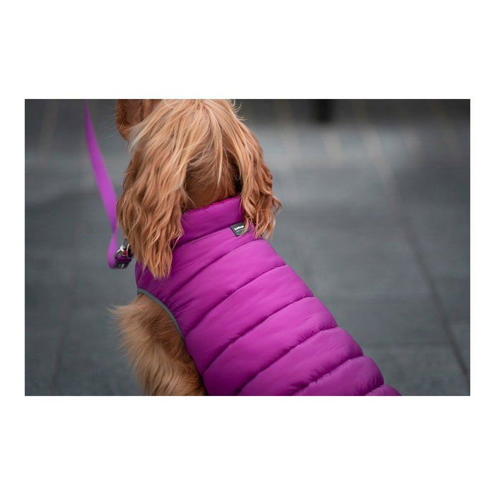 Manteau pour Chien Red Dingo Puffer Rose/Violet 30 cm Manteau pour Chien Red Dingo Puffer Rose/Violet 30 cm