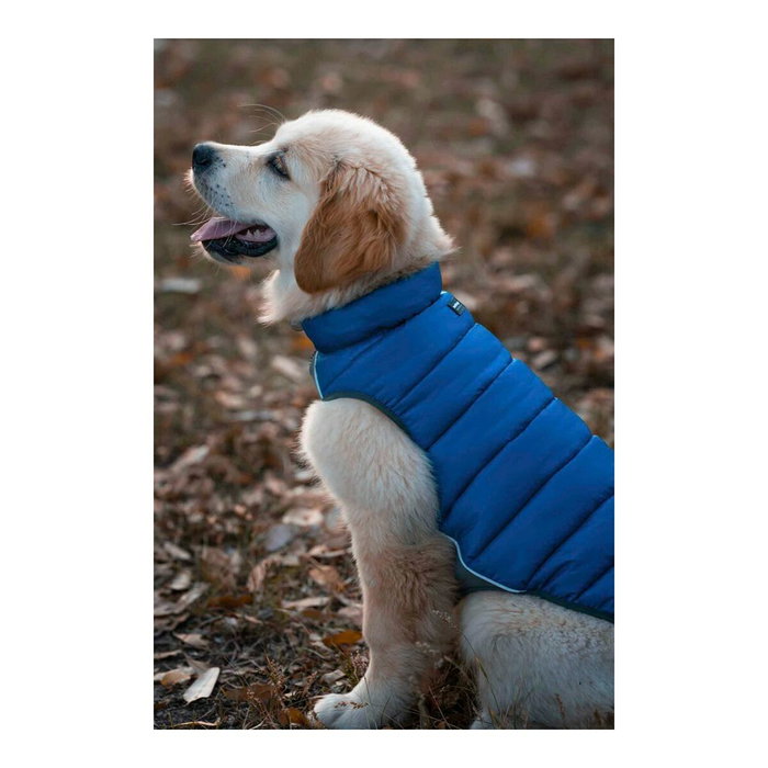 Manteau pour Chien Red Dingo Puffer Turquoise 50 cm Manteau pour Chien Red Dingo Puffer Turquoise 50 cm
