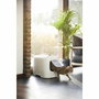 Rotho My Pet Biala Maison de toilette pour chat Blanc