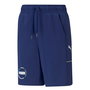 Short de Sport pour Enfants Puma Alpha Jersey Bleu