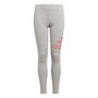 Leggings de Sport pour Enfants Adidas Essentials Gris foncé 45