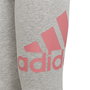 Leggings de Sport pour Enfants Adidas Essentials Gris foncé 45