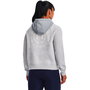 Sweat à capuche femme Under Armour Gris clair 41