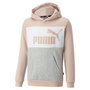Sweat-shirt à capuche fille Puma Essentials+ 38
