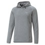 Sweat à capuche homme Puma Evostripe Gris 40