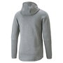 Sweat à capuche homme Puma Evostripe Gris 40