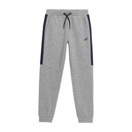 Pantalon de sport long 4F JSPMD002 Gris XS
