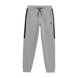 Pantalon de sport long 4F JSPMD002 Gris XS