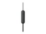 Sony WI-C100 Écouteurs Intra-auriculaires Bluetooth Sans Fil Noir IPX4 25h Autonomie USB-C