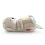 Fisher-Price FXC66 - Ma Loutre Câlins Bonne Nuit - Peluche Veilleuse Musicale Lumineuse pour Bébé - Imite Battements de Coeur et Respiration - Jouet d'Eveil dès la Naissance