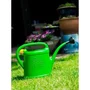 Nature Arrosoir de Jardin en Polyéthylène 2 Litres Vert - Pour Plantes et Fleurs - Garantie 2 Ans