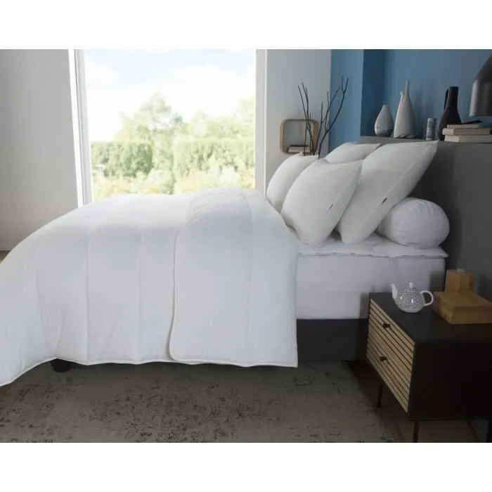 Dodo Couette chaude 350 g/m² Belle Nuit 220 x 240 cm - En polyester - Anti-acariens - Fabriqué en France