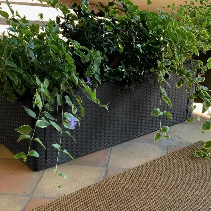 Stefanplast Natural Delux - Bac à fleurs rectangulaire avec réserve d'eau - Tressé rotin - Dimensions 100x43x33 cm - Anthracite - Intérieur/extérieur Stefanplast Natural Delux - Bac à fleurs rectangulaire avec réserve d'eau - Tressé rotin - Dimensions 100x43x33 cm - Anthracite - Intérieur/extérieur