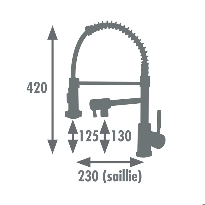 Edouard Rousseau Mitigeur Evier Douchette 2 Jets Mini Stoli - Bec Mobile Aere - Laiton Chrome - Pour Cuisine Moderne